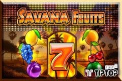 Savana Fruits